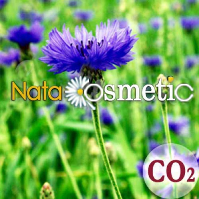 Сверхкритический CO2 экстракт Василька Синего (терпены, %, не менее 11)