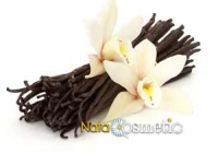 Ваниль стручковая, ароматическое масло Vanilla Bean